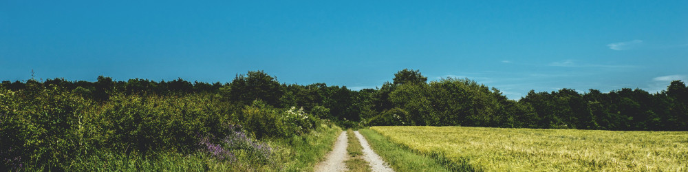 Prioritize Scope 3 Reductions: How to Shift from Reporting to Decarbonization in 2024