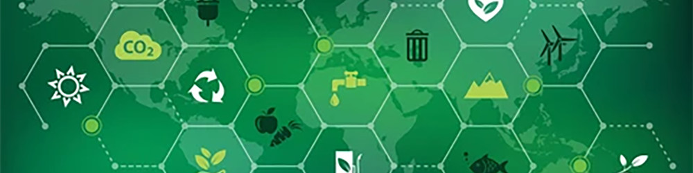 The Power of Collaboration in Driving Sustainable Consumer Change