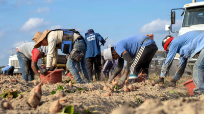 ‘Secret Menu’ Reveals the Hidden Human Costs of the Food We Eat