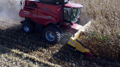 How the US’s Most Abundant Crop Is Changing the Way Plastic Is Produced