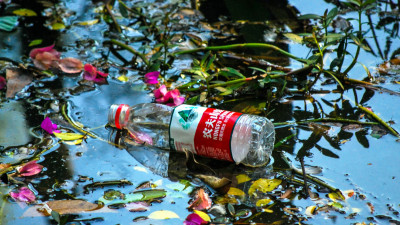 Investor Demand Propelling Corporate Plastic-Reduction Strategies