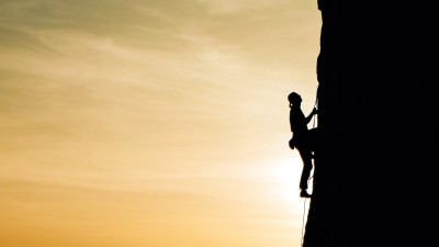 Measuring & Improving Brand Portfolio Sustainability to Meet the Demands of a Changing Market