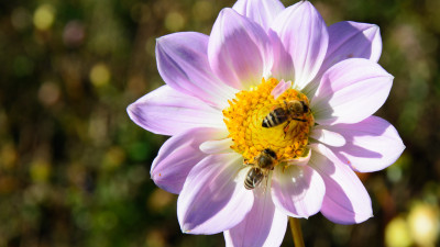 Burt's Bees Redoubles Impact Commitments, Aims to Achieve Net Zero Plastic to Nature by 2025