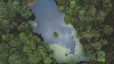 EcoVadis Publishes First Annual Global CSR Performance Index