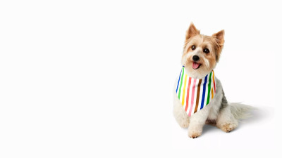 Engaging with LGBTQ+ Consumers Offers Brands Both Risk and Reward