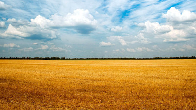 €30M & $50M Funds, Biodiversity Metrics Drive Continued Growth of Regenerative Ag