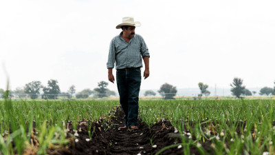 From Funding to Action: Empowering Farmers Through RCPP