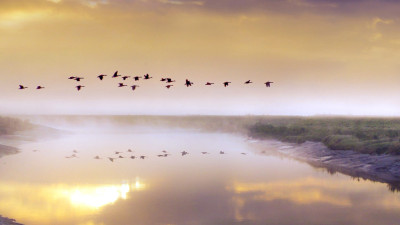 Leading the Change: Takeaways from the B Lab Champions Retreat