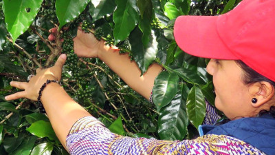 New Guide Outlines 7 Principles for Partnering with Frontline Communities