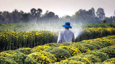 New Project Drawdown Strategy Will Engage Agriculture in the Climate Fight