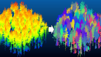 Purdue Researchers Aim to Prevent Wildfires by ‘Studying Every Tree’