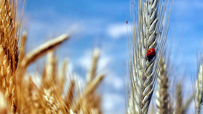 Regenerative Ag Practitioners Gather to Share Notes from the Field