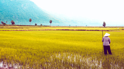 The Climate Communication Playbook: Establish Trust to Maximize Impact