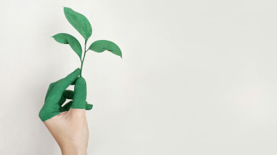 Time Names Electrolux One of World's Most Sustainable Companies in 2024